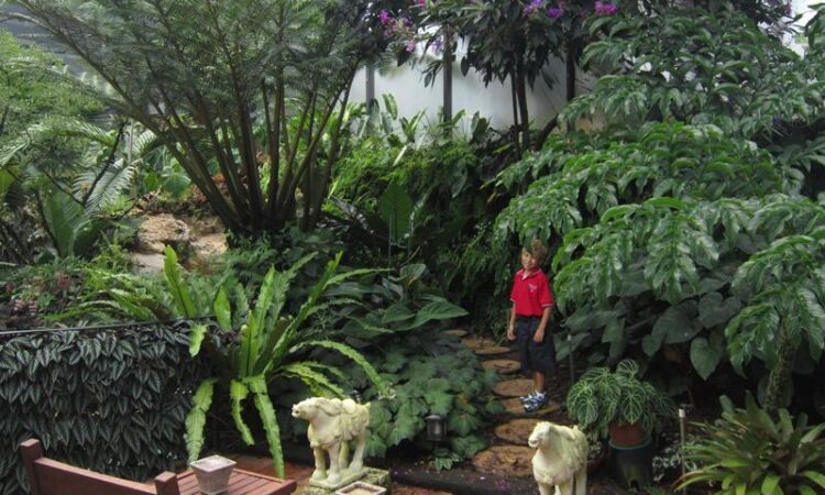 block botanical gardens miami conservatory paths