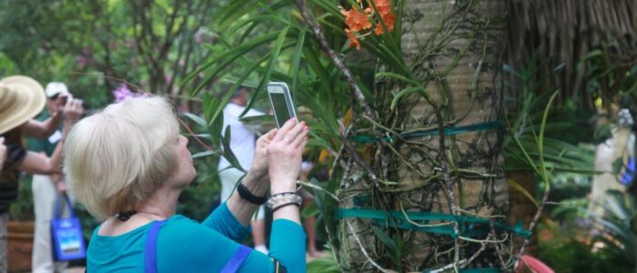 international palm society 2014 biennial conference garden tour 14 1024x682 1