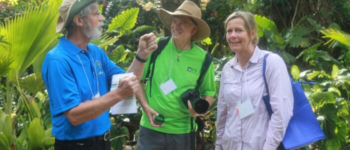 international palm society 2014 biennial conference garden tour 15 1024x682 1