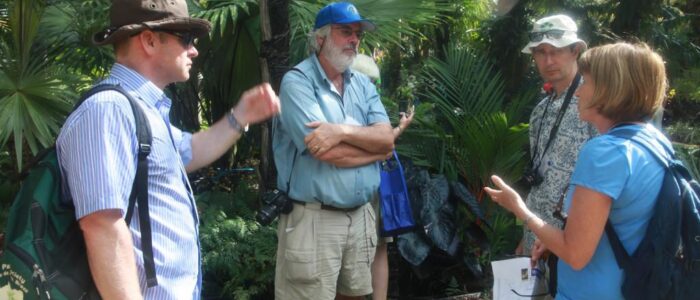 international palm society 2014 biennial conference garden tour 19 1024x682 1