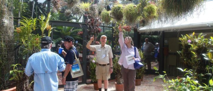 international palm society 2014 biennial conference garden tour 26 1024x682 1