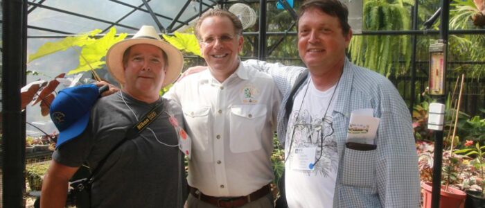 international palm society 2014 biennial conference garden tour 27 1024x682 1