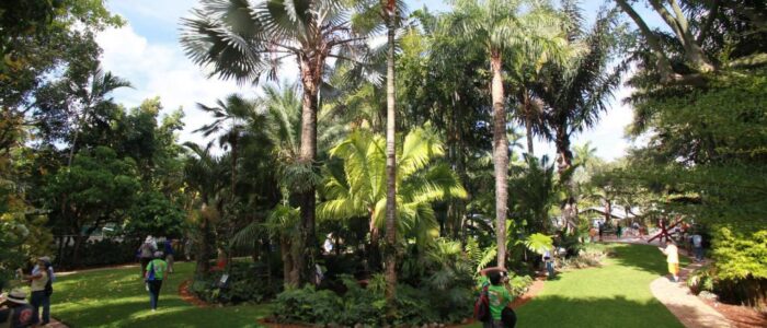 international palm society 2014 biennial conference garden tour 6 1024x682 1