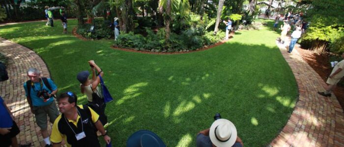 international palm society 2014 biennial conference garden tour 7 1024x682 1