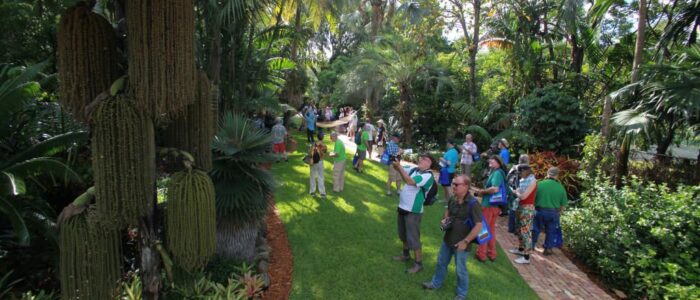 international palm society 2014 biennial conference garden tour 8 1024x682 1