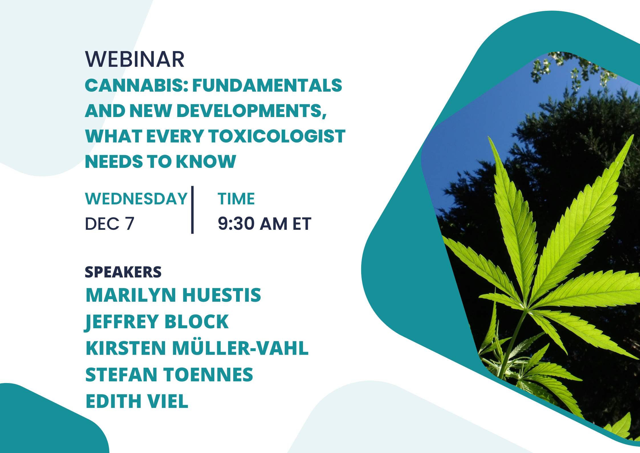 Upcoming TIAFT Webinar on Cannabis