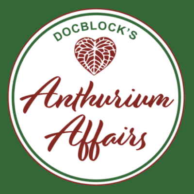 We're Excited To Announce "Anthurium Affairs" 4 We're excited to announce Anthurium Affairs